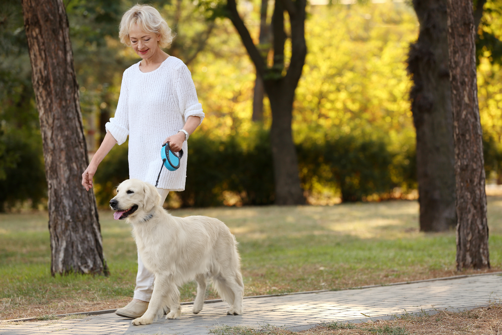 Dog walking found to keep older adults more active