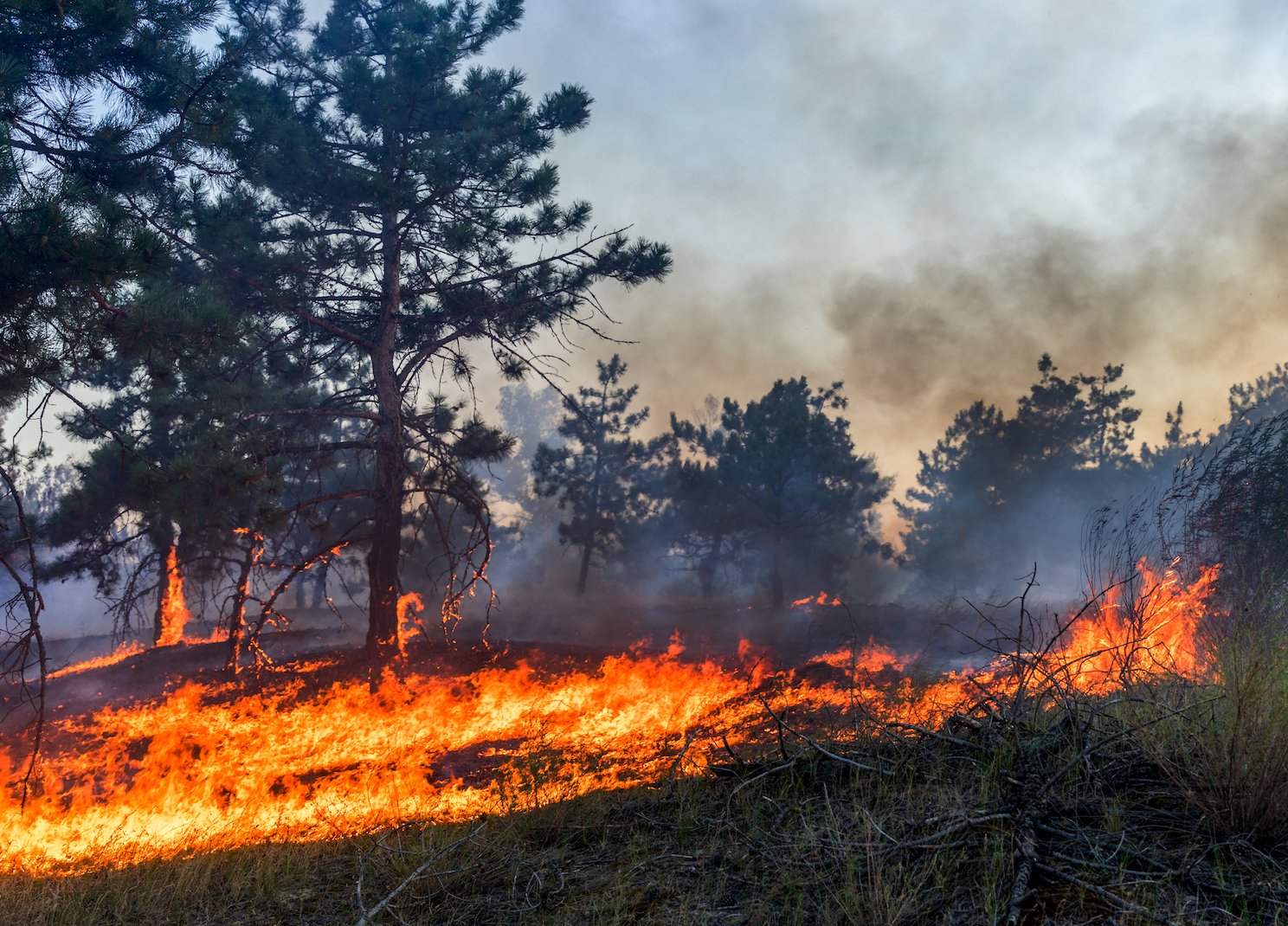 Measuring soil moisture can help predict wildfires