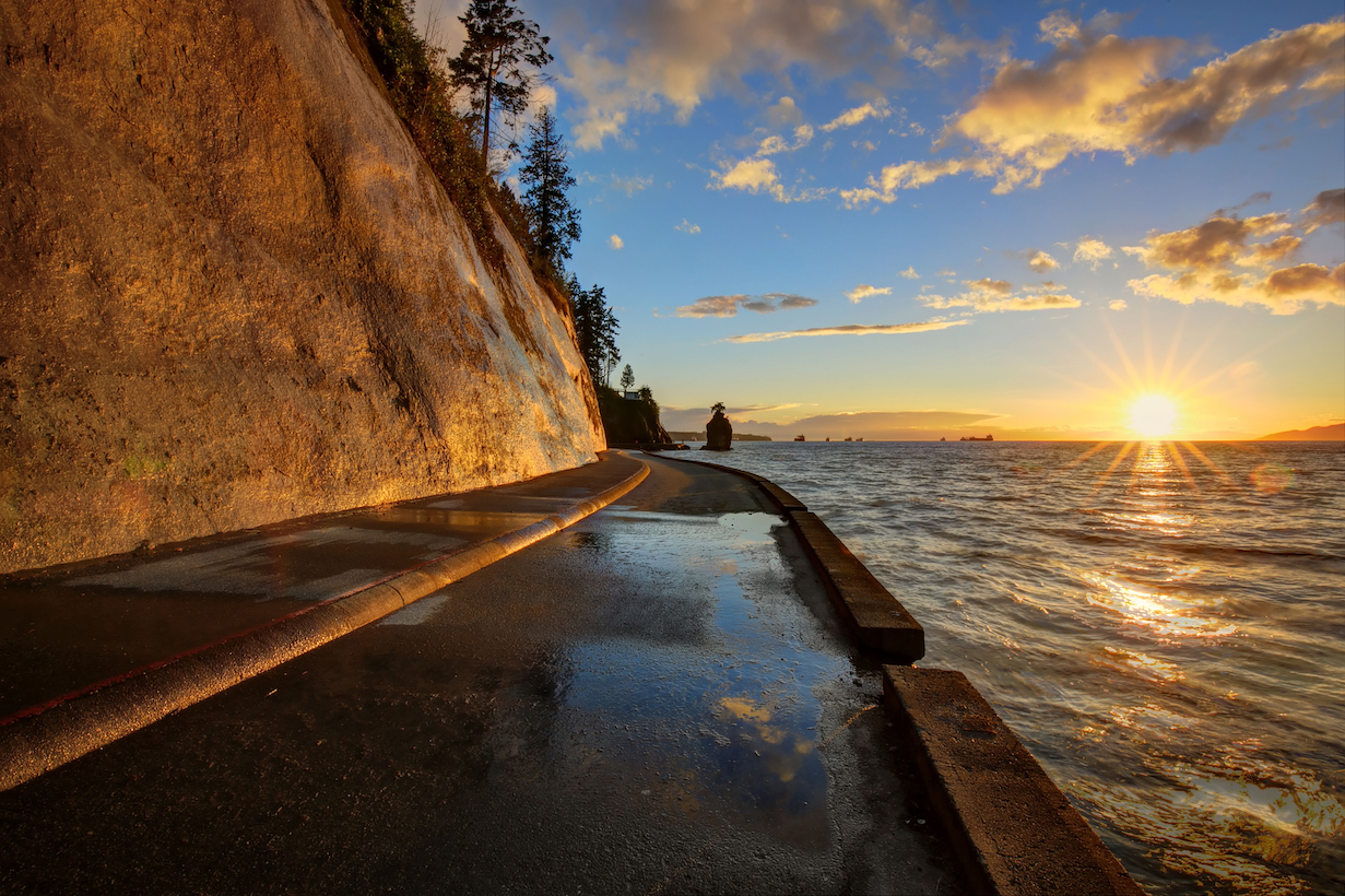 Seawalls protect our coastlines and have environmental impact