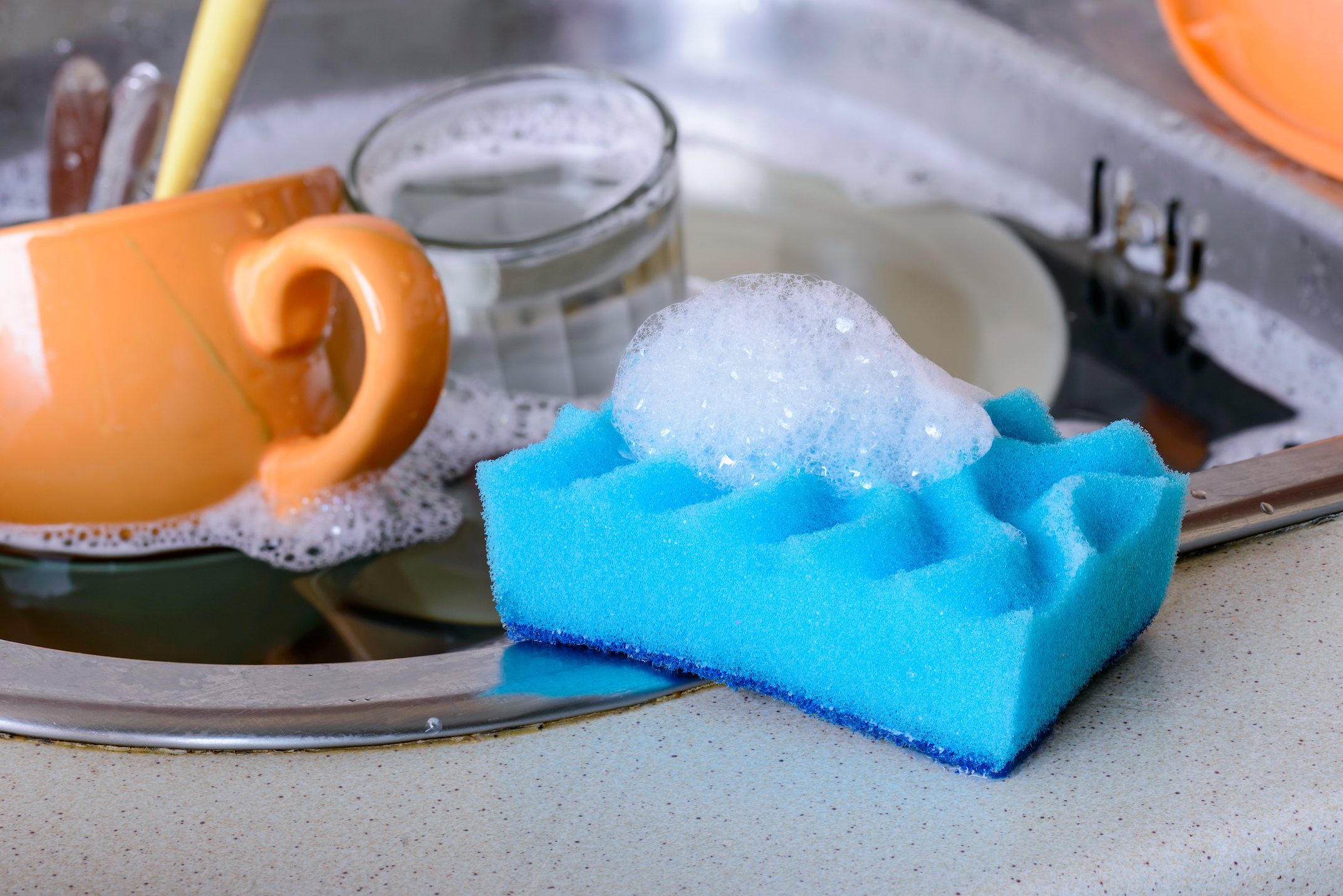 Your kitchen sponges contain an insane amount of bacteria