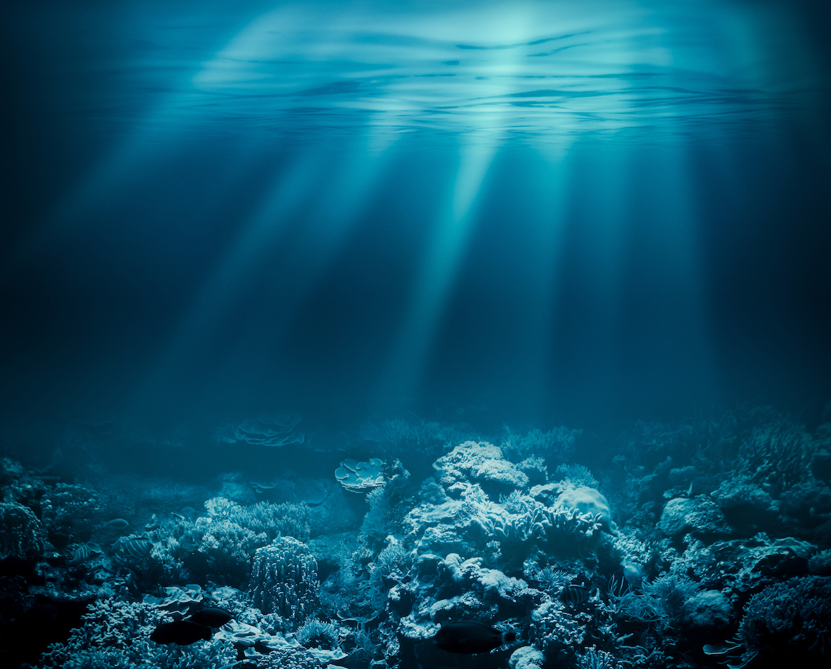 Deep sea life may disappear before we even understand it