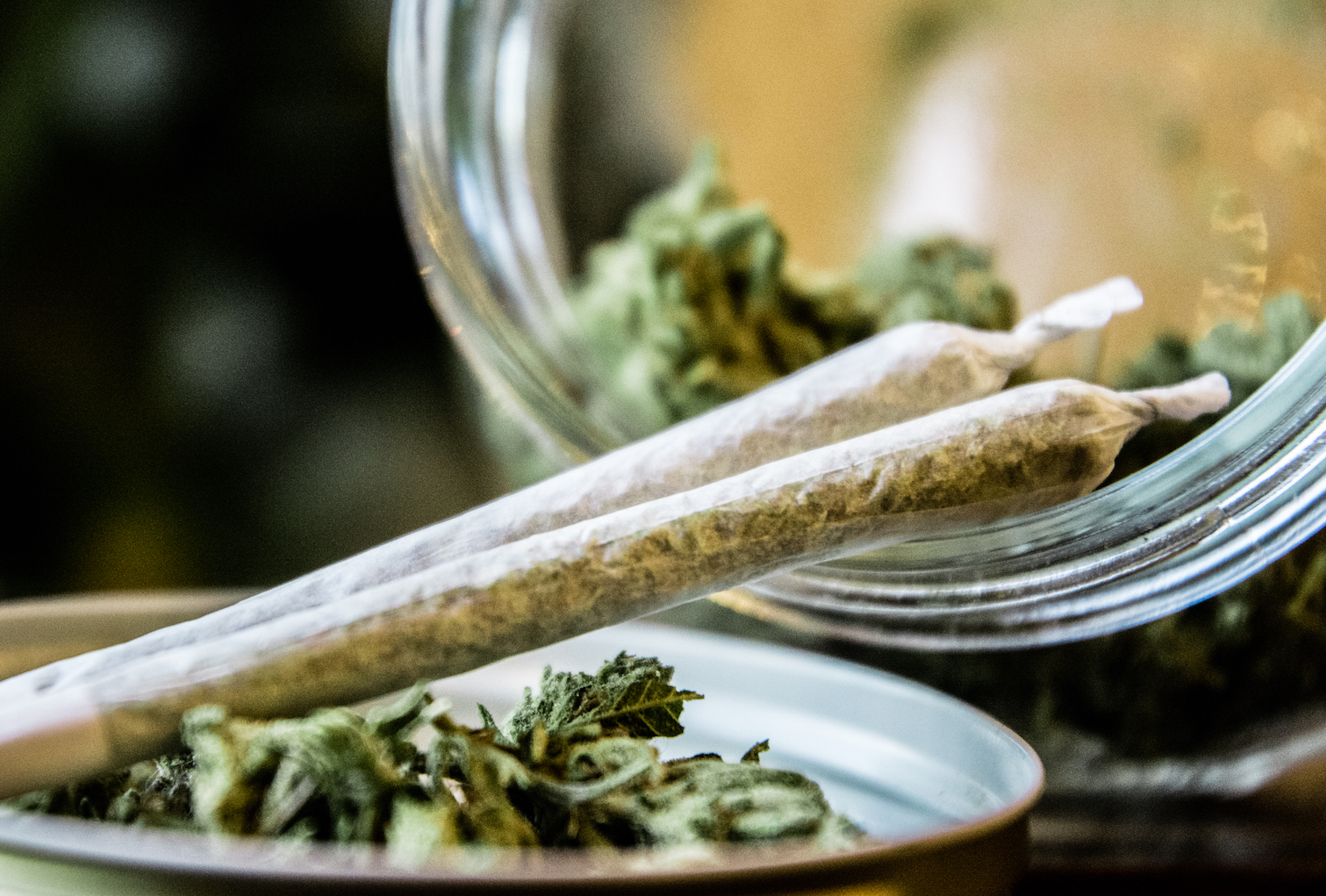 No evidence that marijuana use affects human kidney function