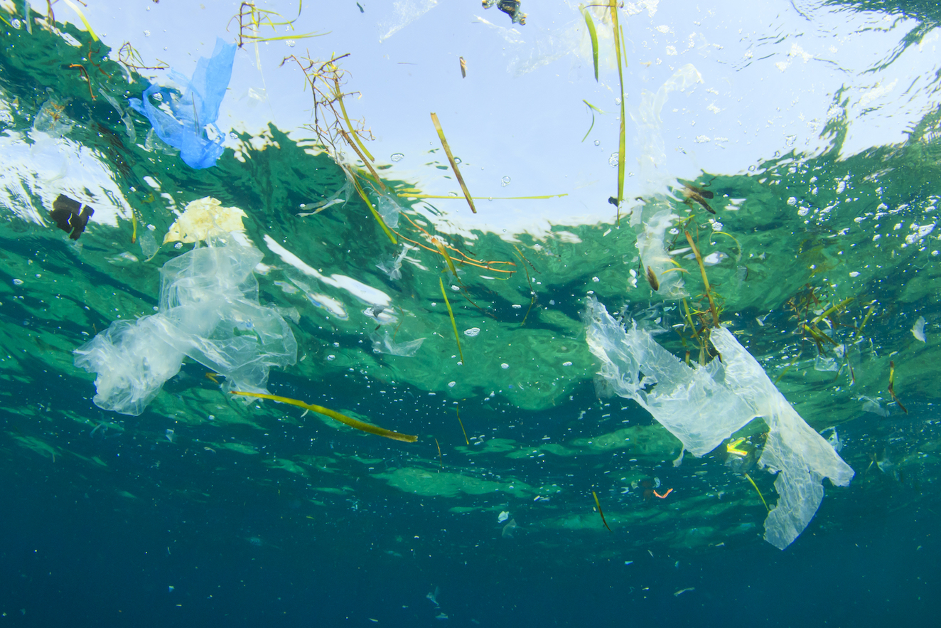 People’s love for the ocean could help reduce plastic pollution