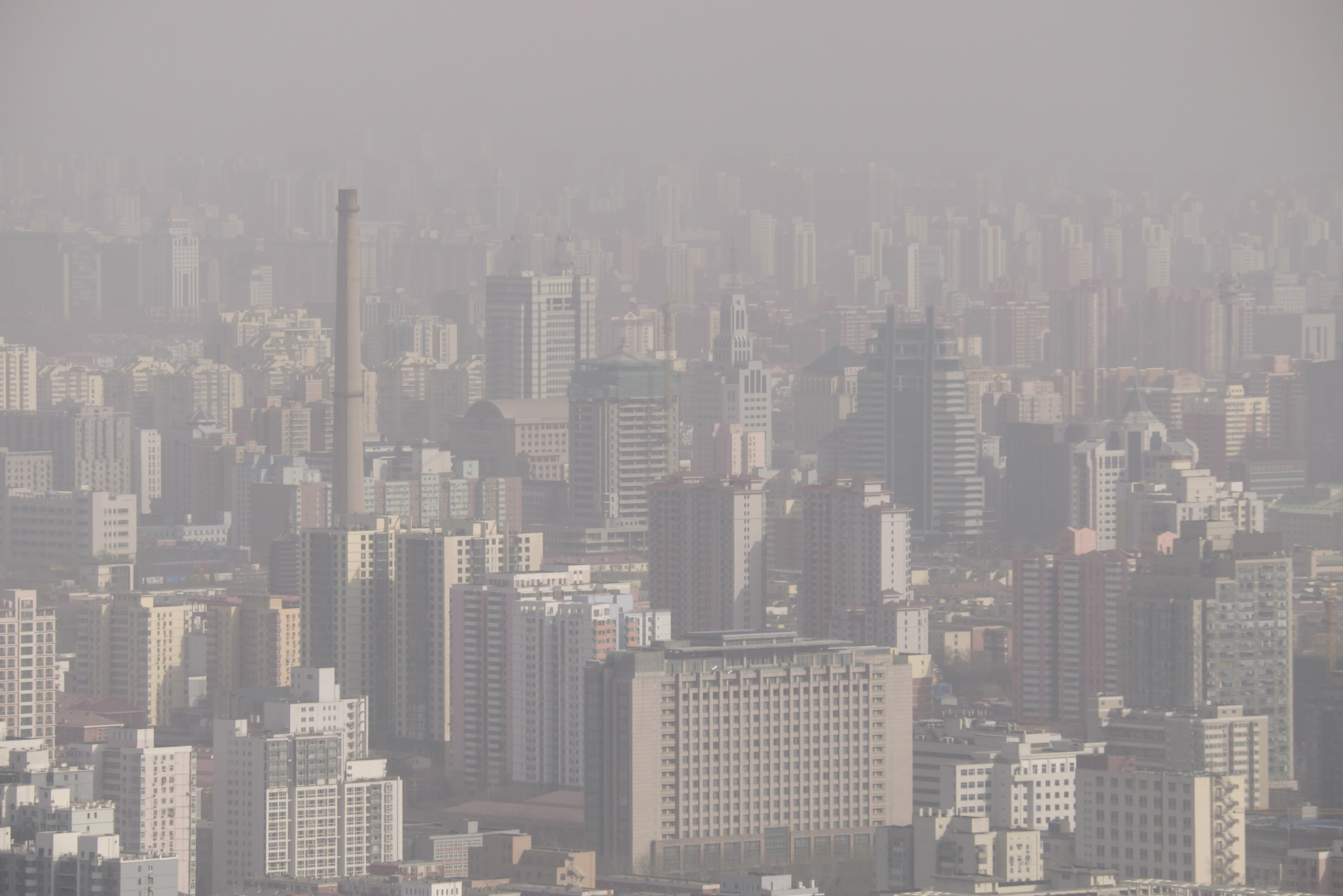 Exposure to air pollution could damage kidney function