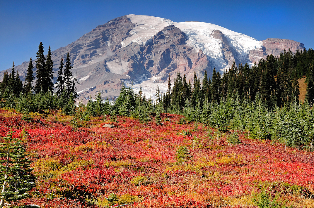 20 small earthquakes this week alone in Mount Rainier, Washington