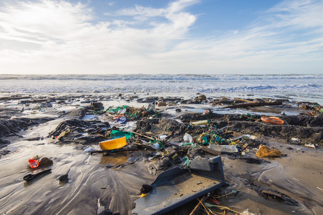 Plastic in the ocean helps transport invasive marine species