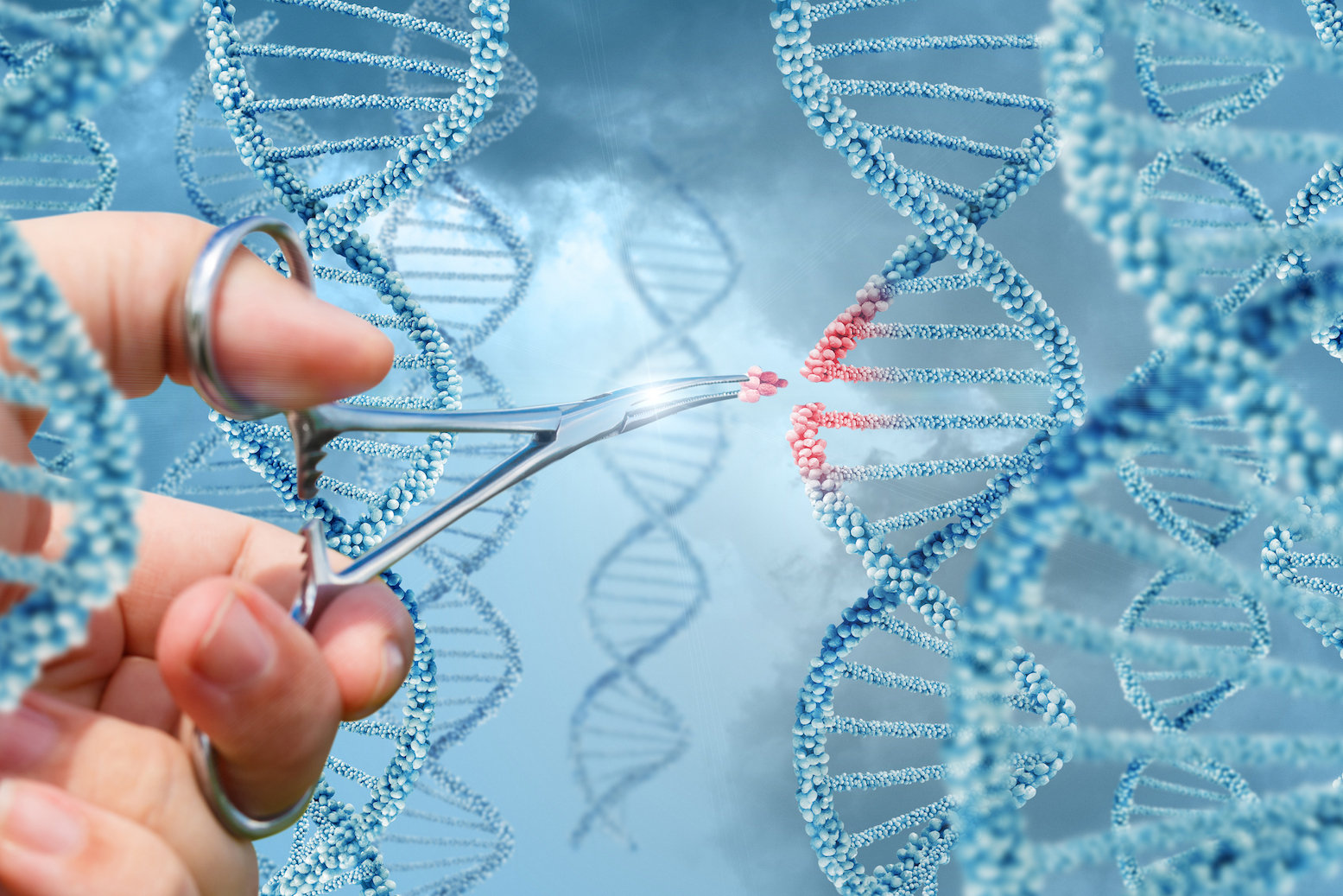 Public opinion will dictate the future of gene editing technology