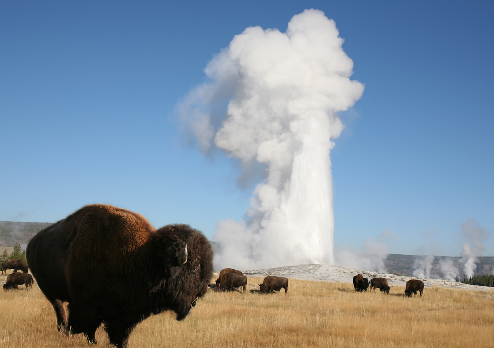 Scientists in Yellowstone map the geological heart of Old Faithful