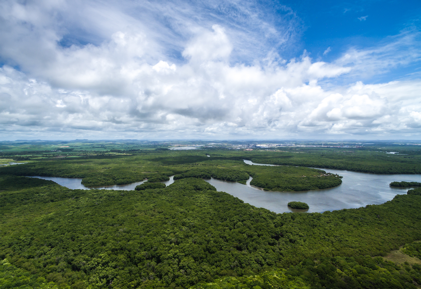 Illegal activity in the Brazilian Amazon stays mostly undetected