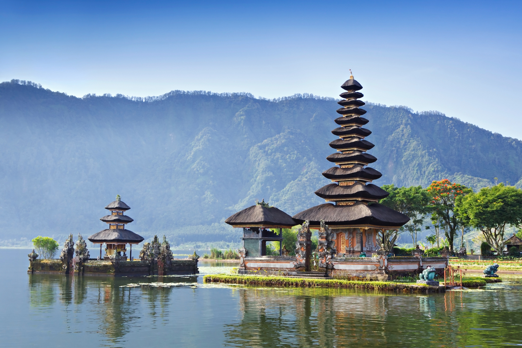 Palm oil production causing increased temperatures in Indonesia