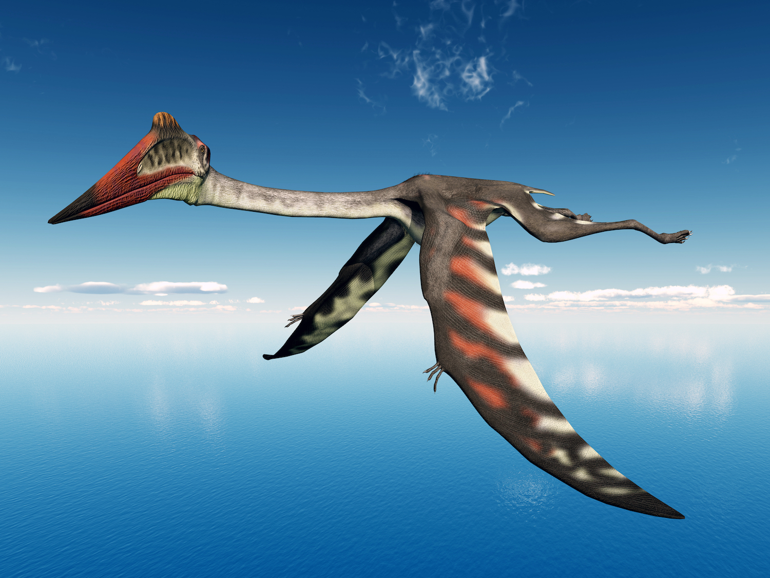 Colossal flesh-eating predator was one of the largest to fly