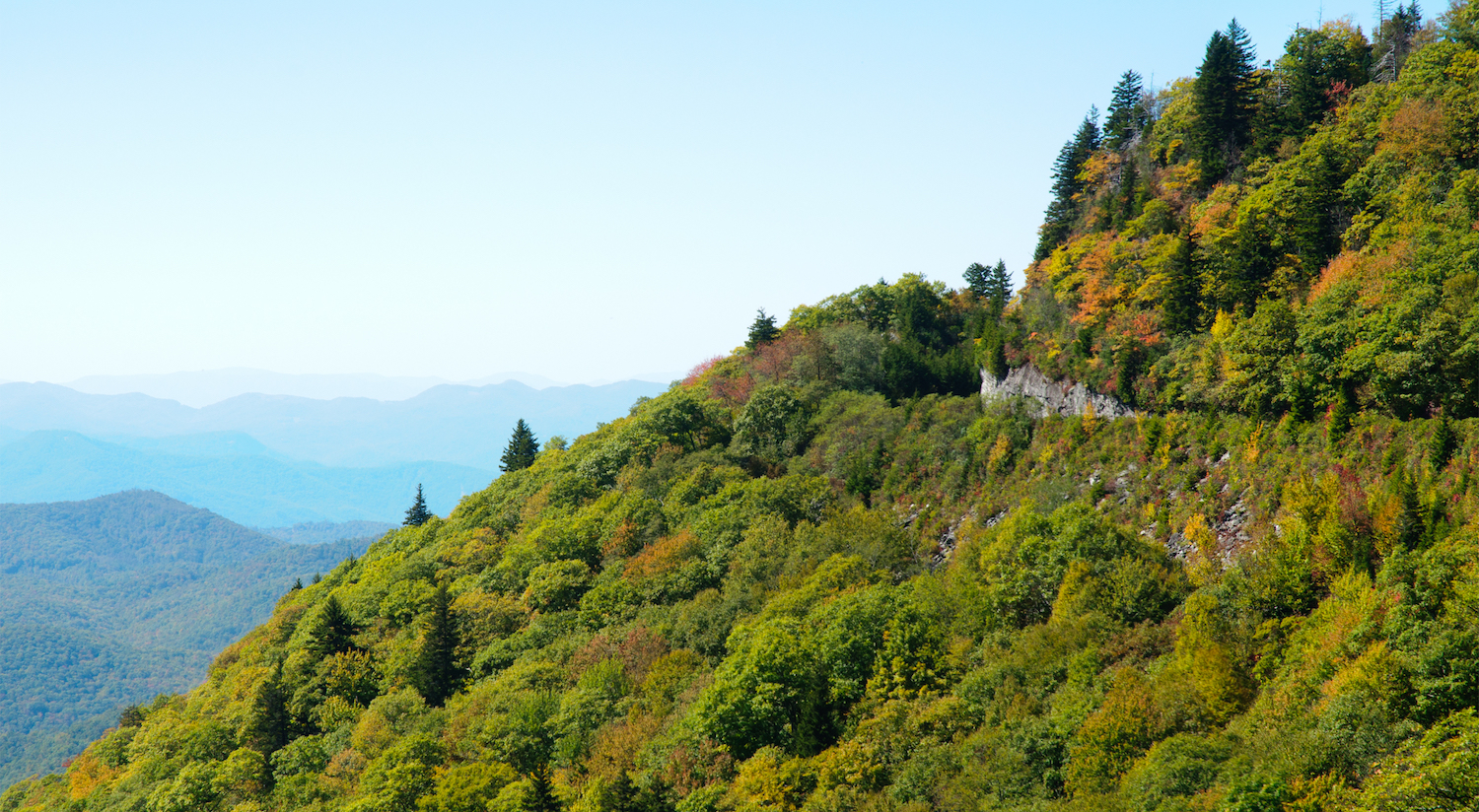 Carbon emissions from plant respiration largely underestimated