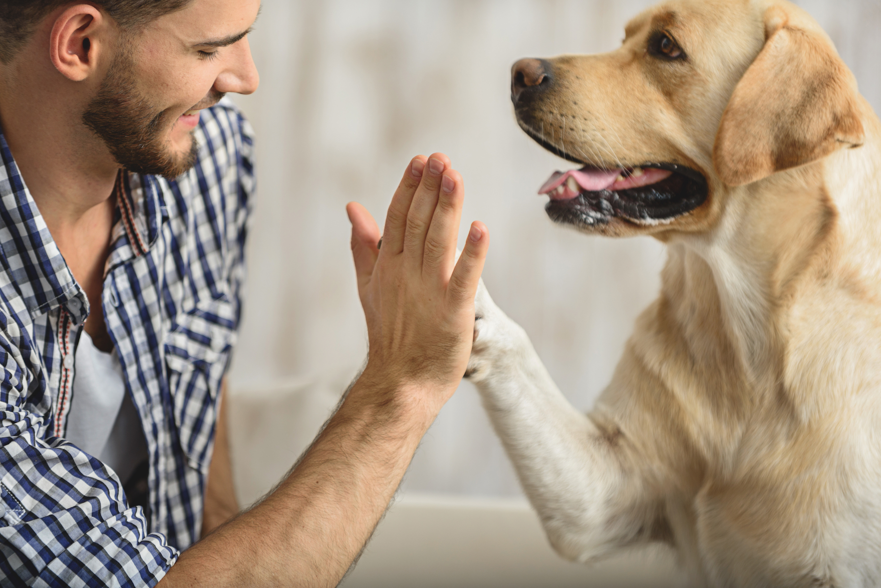 Your dog loves when you smile. Here’s why!