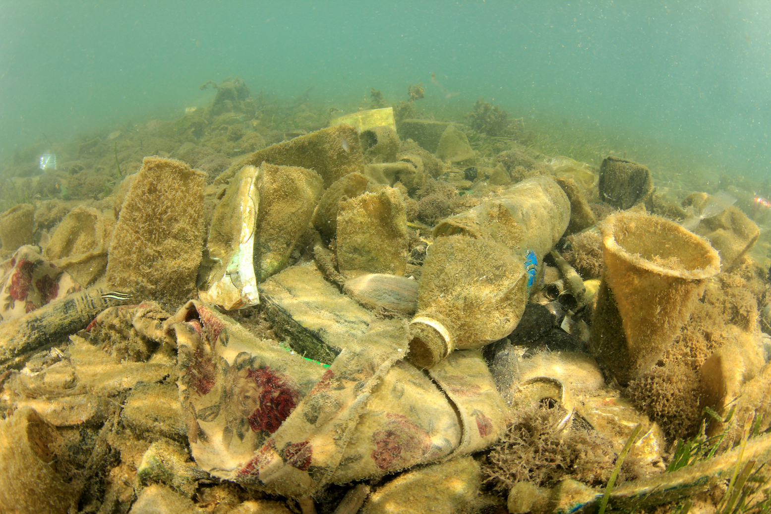 World’s largest pile of trash found floating in the Arctic Ocean