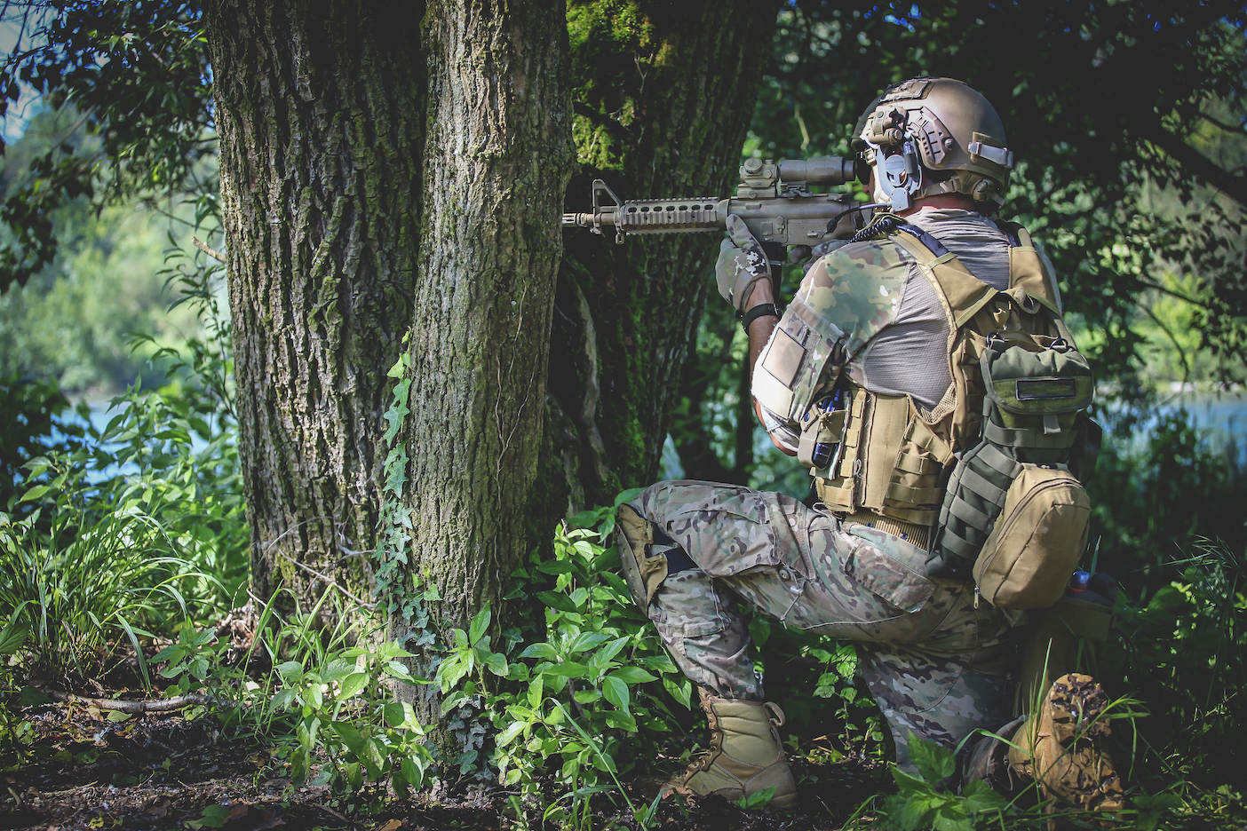 Military announces plans for genetically modified spy plants