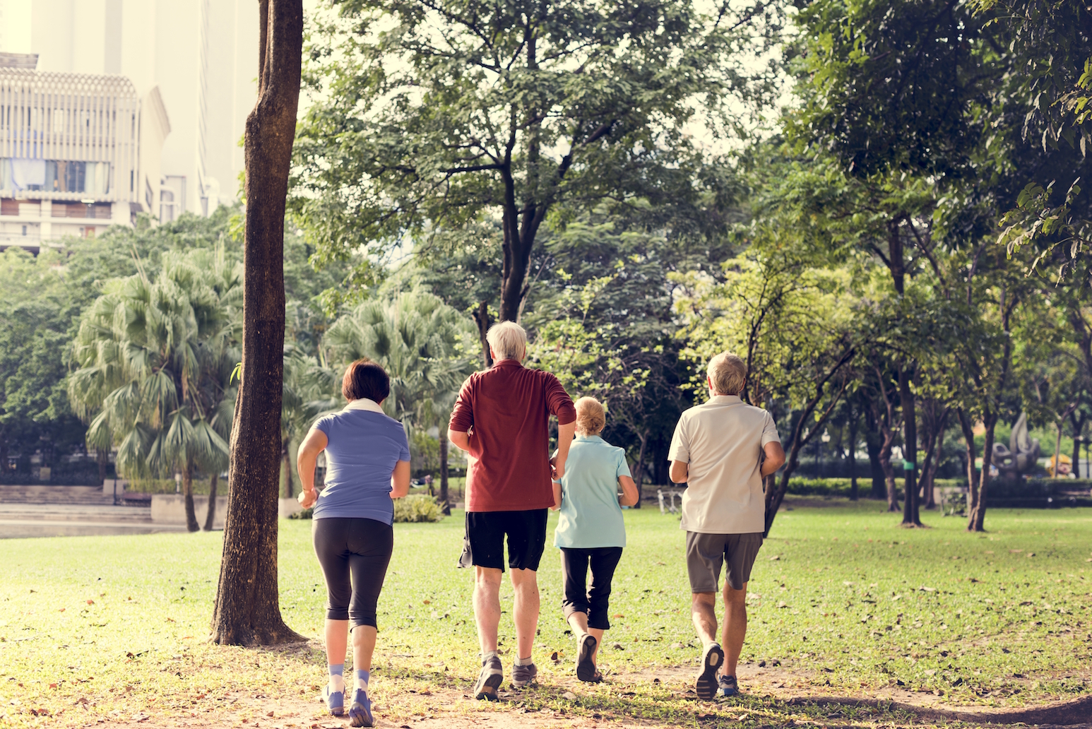 Air pollution cancels positive benefits of exercise for seniors