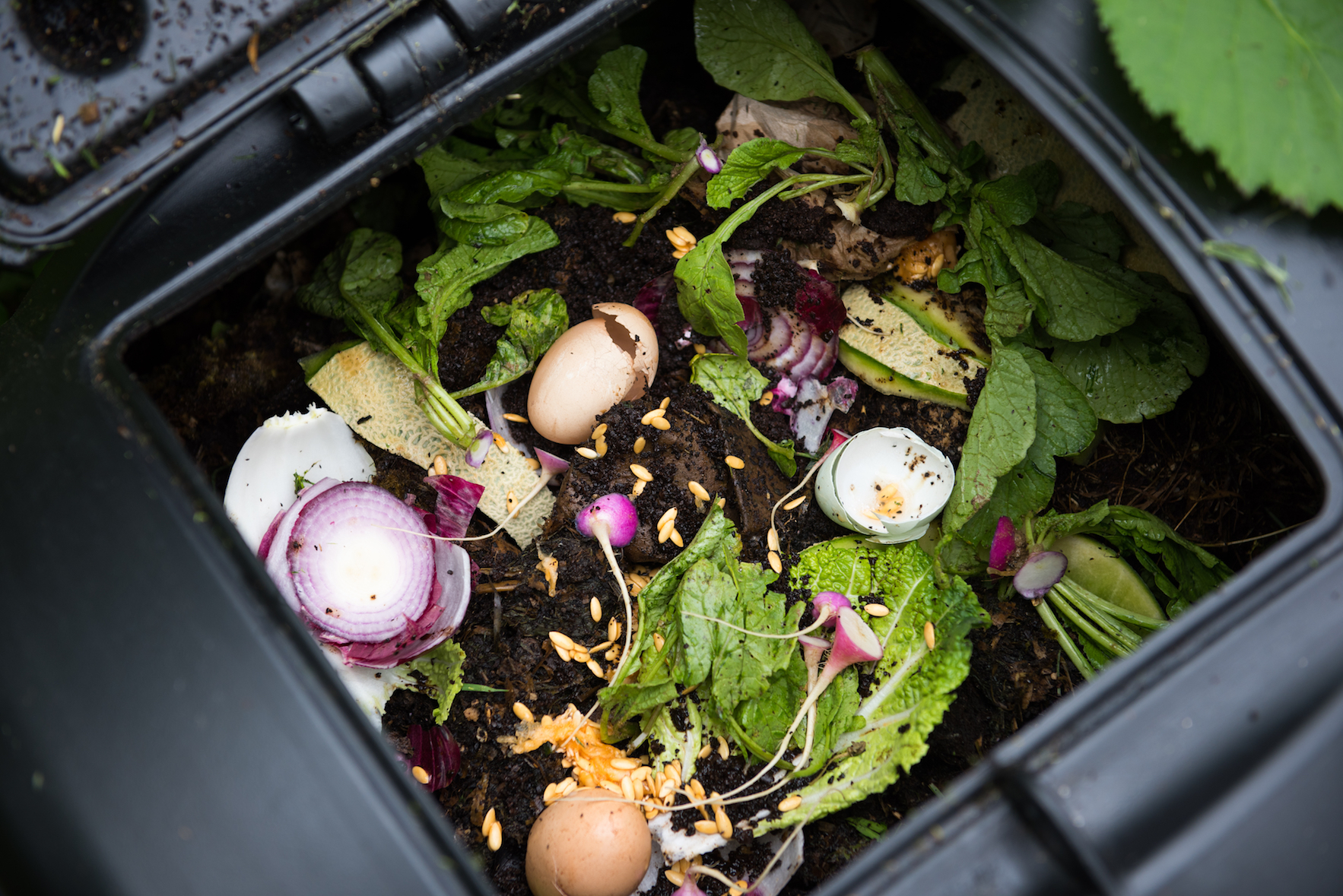 Composting leads to more eco-friendly decisions