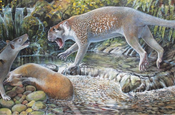 Extinct species of marsupial lion found in Australia