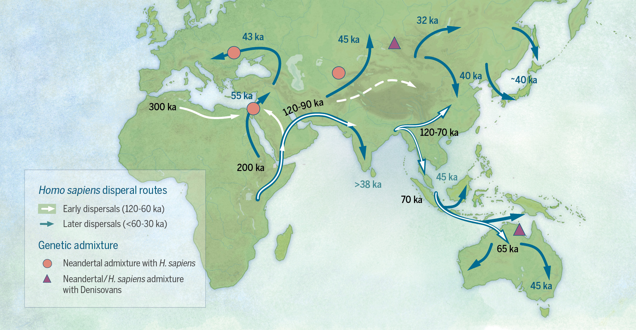 Human dispersal out of Africa occurred over a staggered period