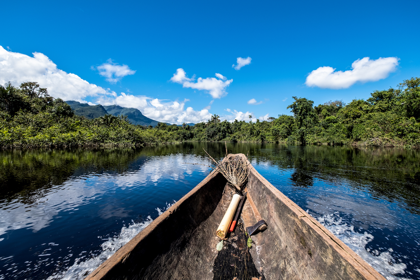 Deforestation in the Amazon is lowering fish yields