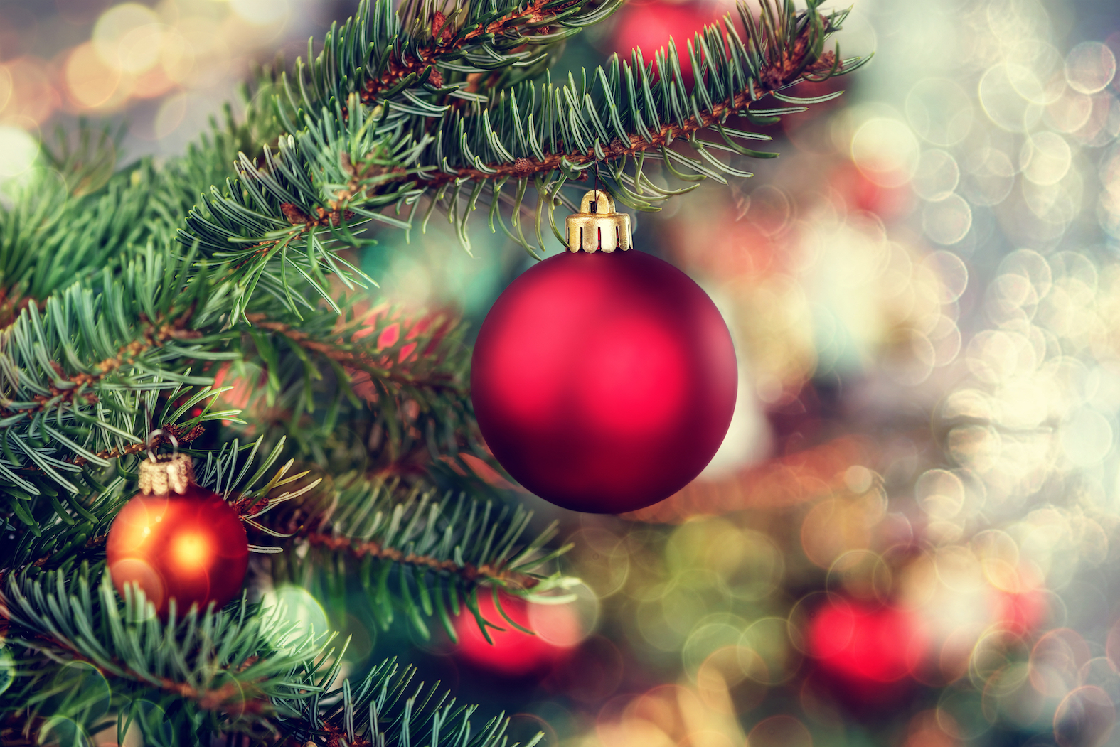 Environmentally friendly ways to get rid of your Christmas tree
