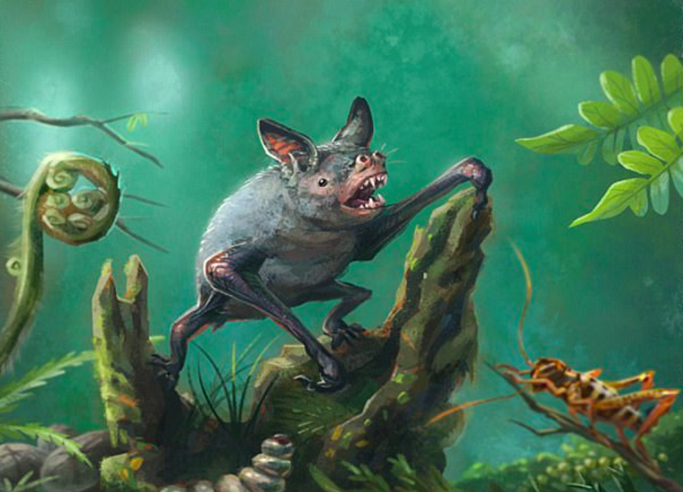 Giant bat uncovered in New Zealand dates back 19 million years