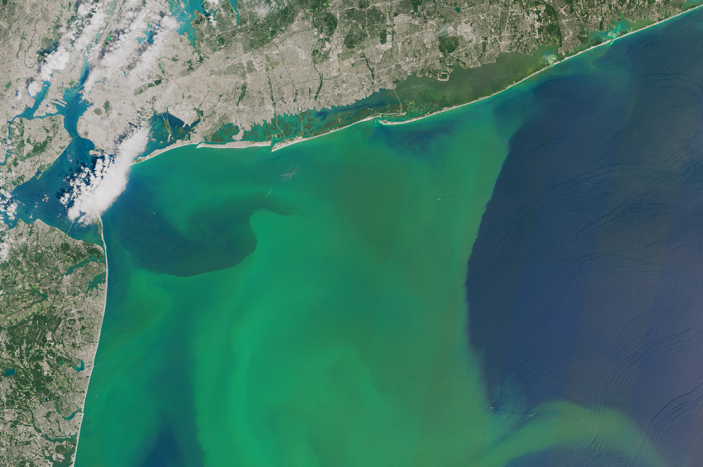 Robots are monitoring how phytoplankton blooms absorb CO2