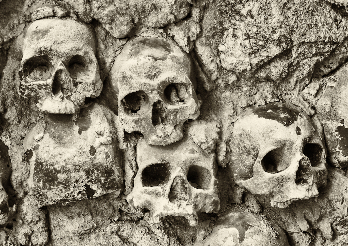 Fleas and lice, not rats, were to blame for the Black Death