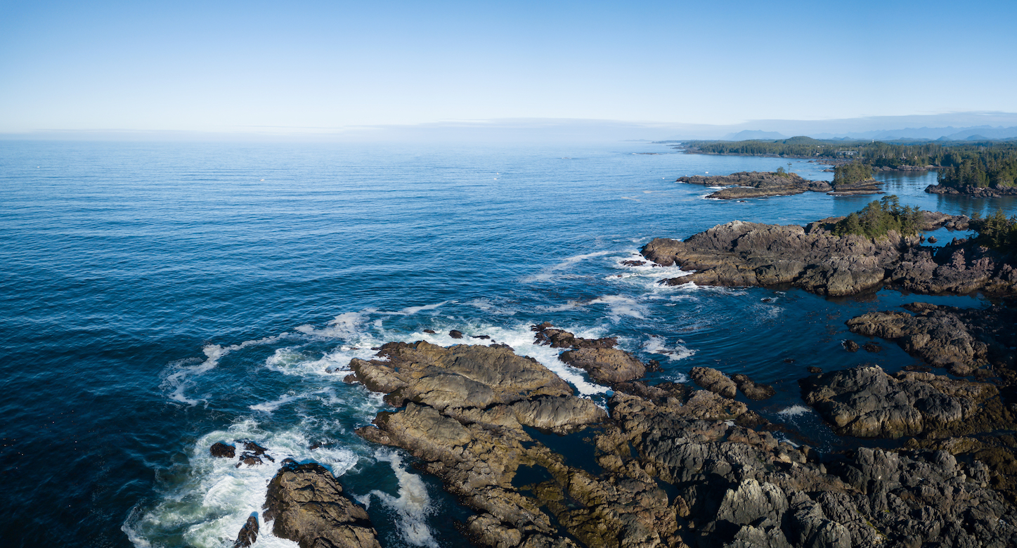 Newly discovered ocean virus could be present in humans