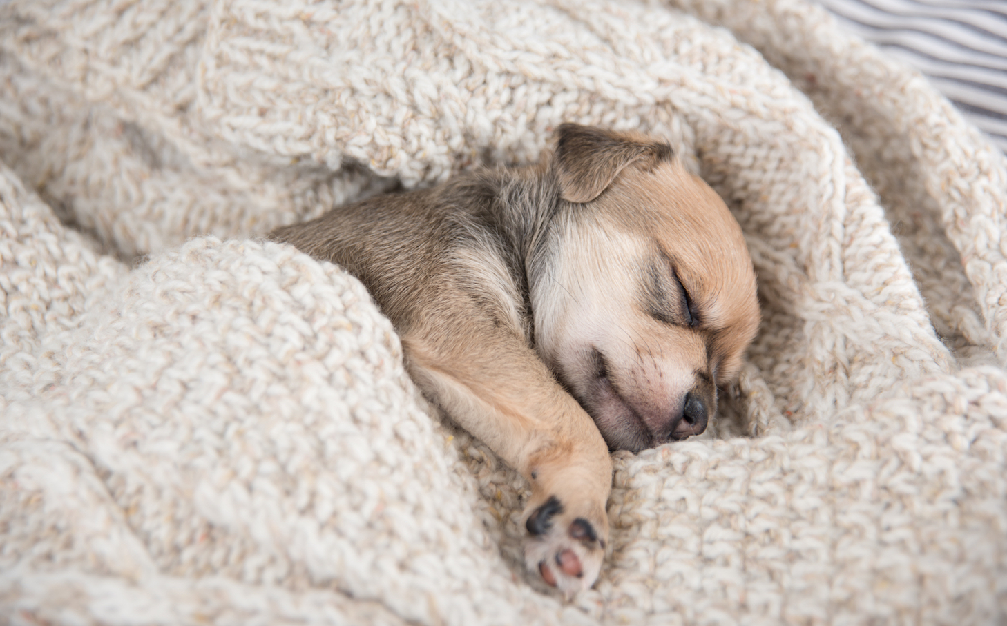 Emotionally charged images influence people more than words
