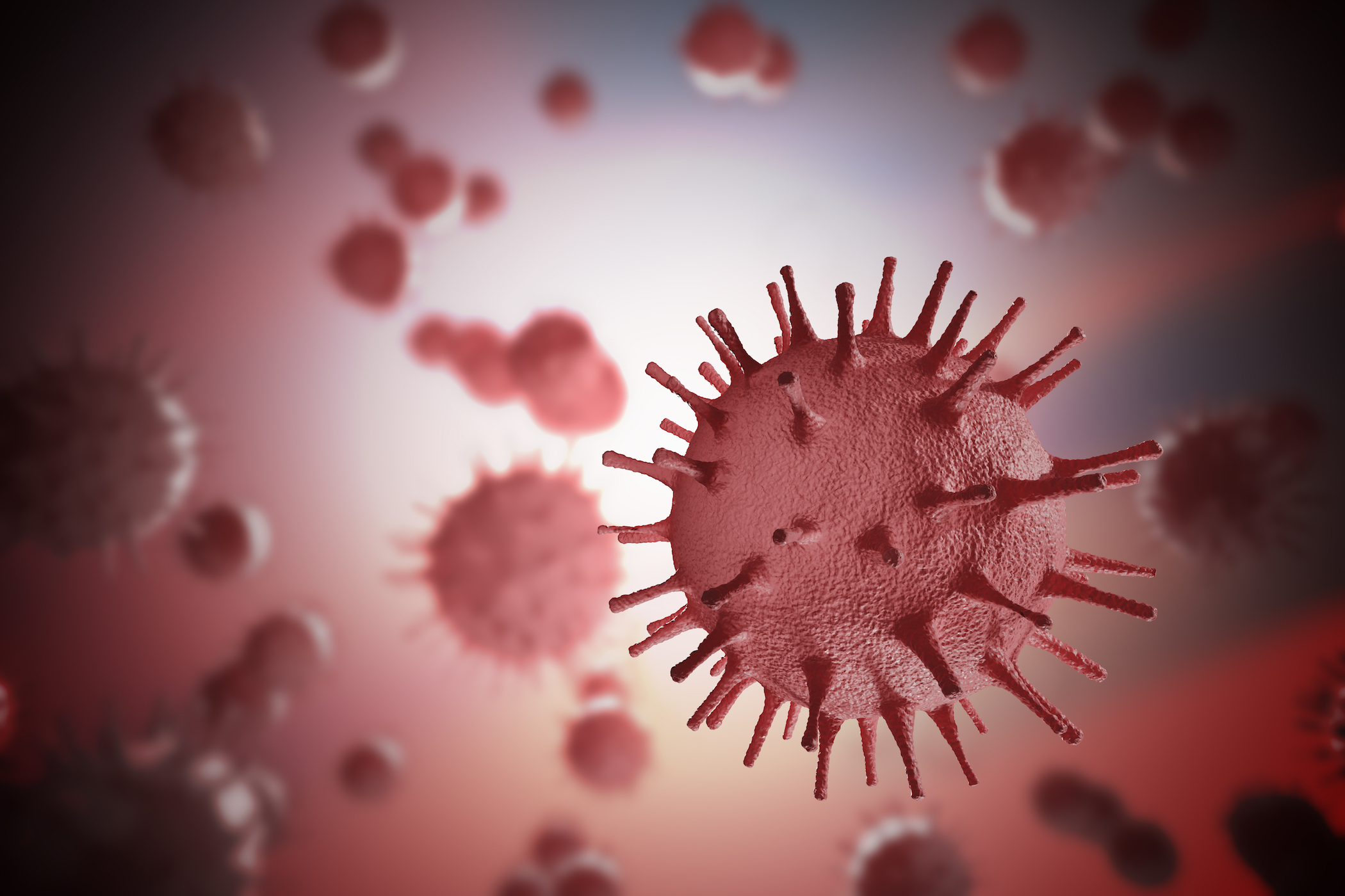 Billions of viruses fall to Earth on a daily basis