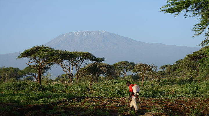 African savannahs quickly changing in response to climate change