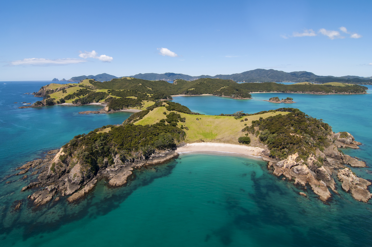 January was the hottest month ever in New Zealand