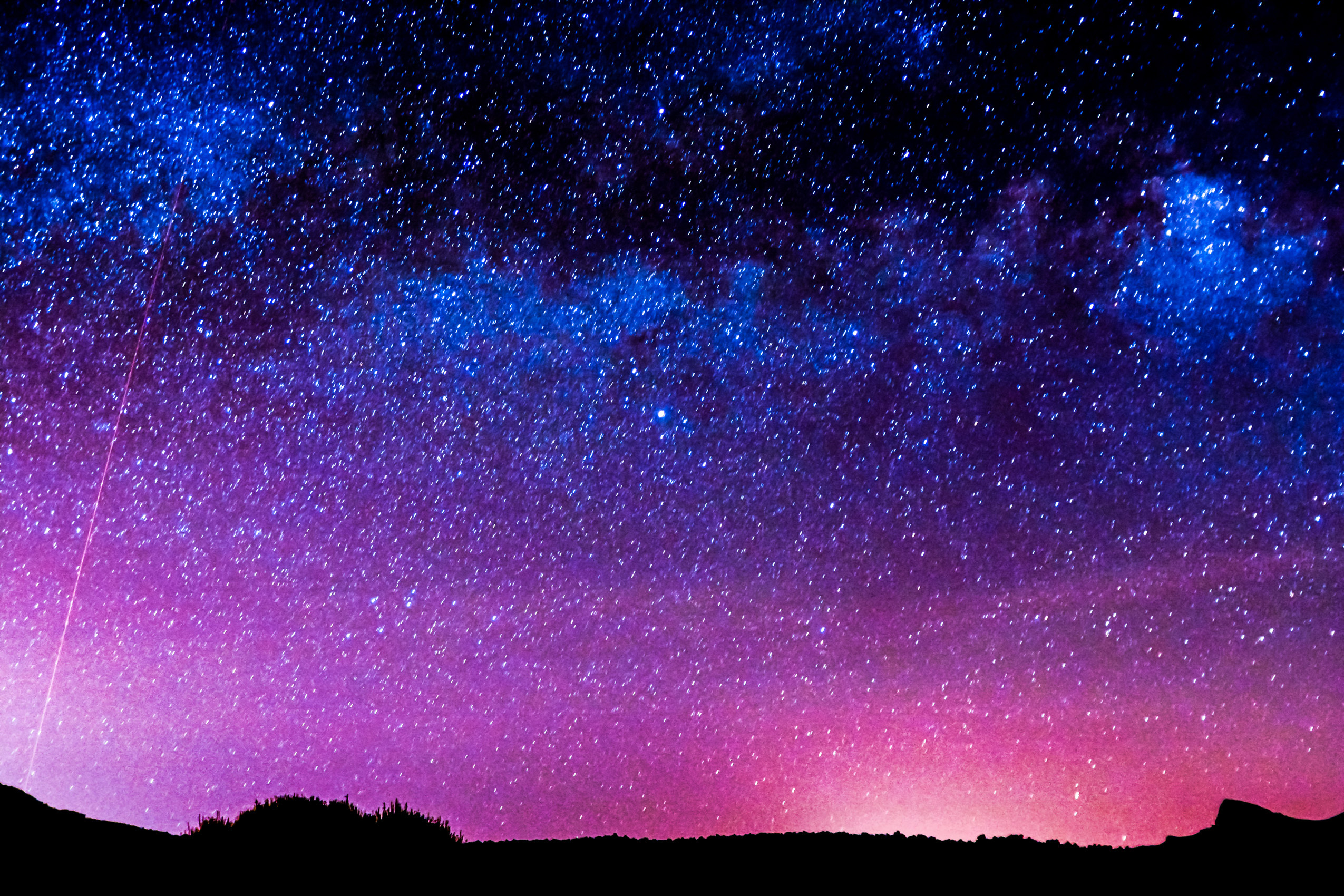 Nocturnal creatures use starlight as a compass in the dark