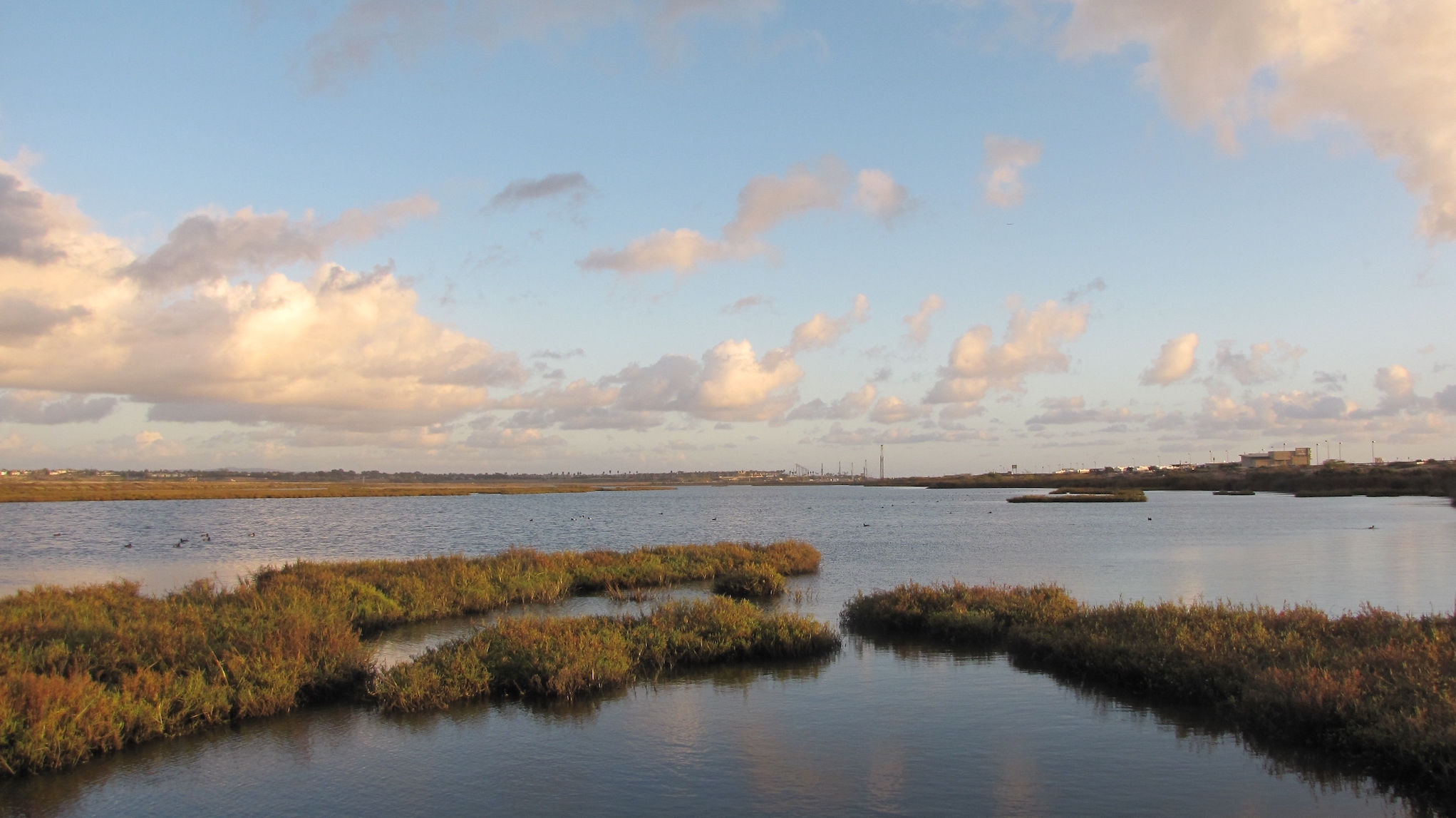 Sea level rise threatens U.S. west coast wetlands