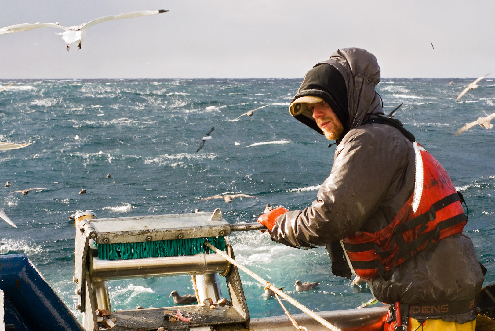 Commercial fishing presence found in over 55 percent of the ocean