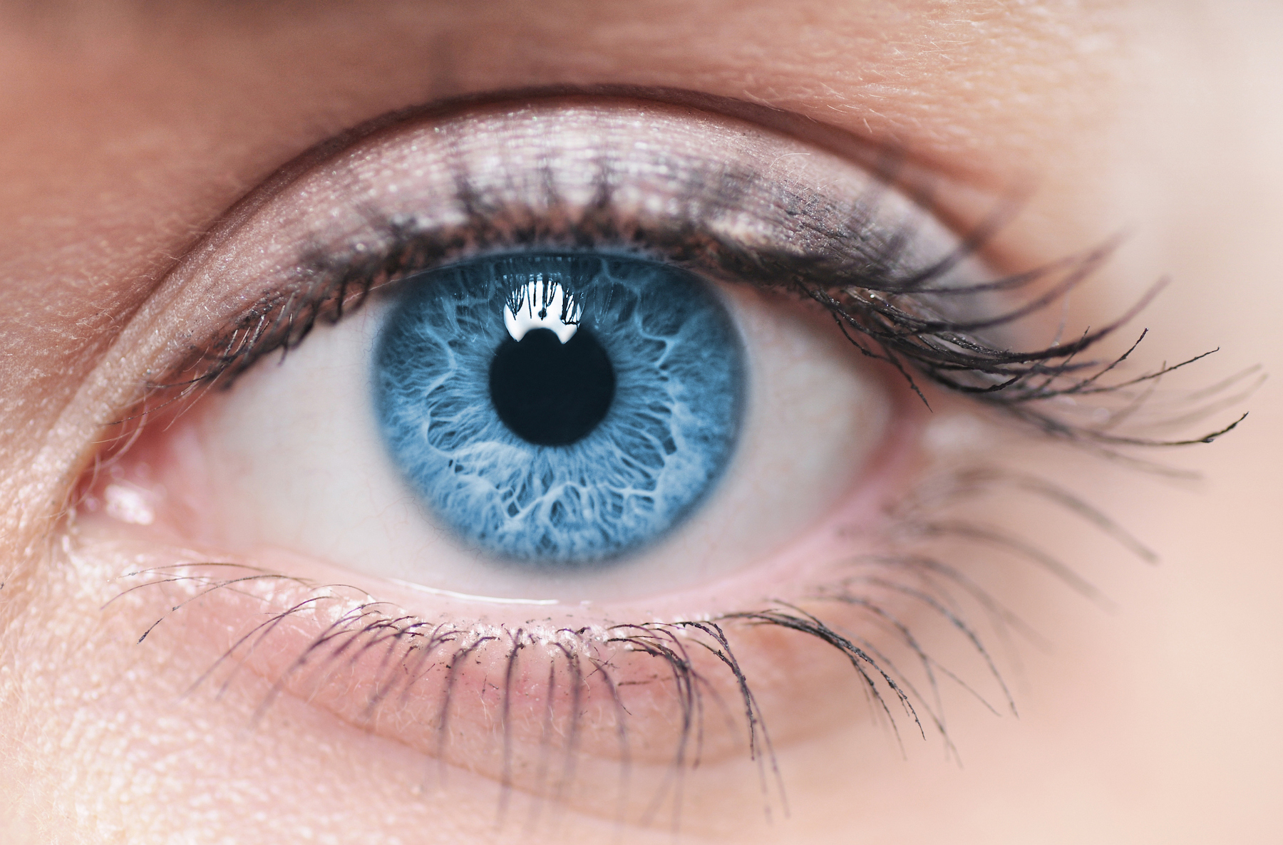 Future memory loss can be detected in our eyes today