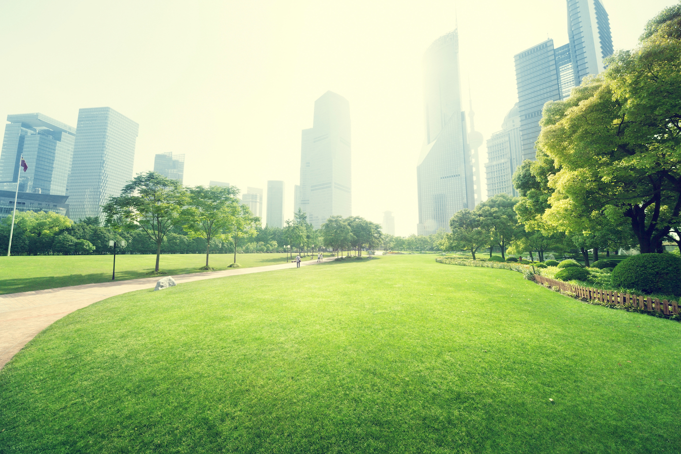 Urban green spaces help store carbon and stop flooding