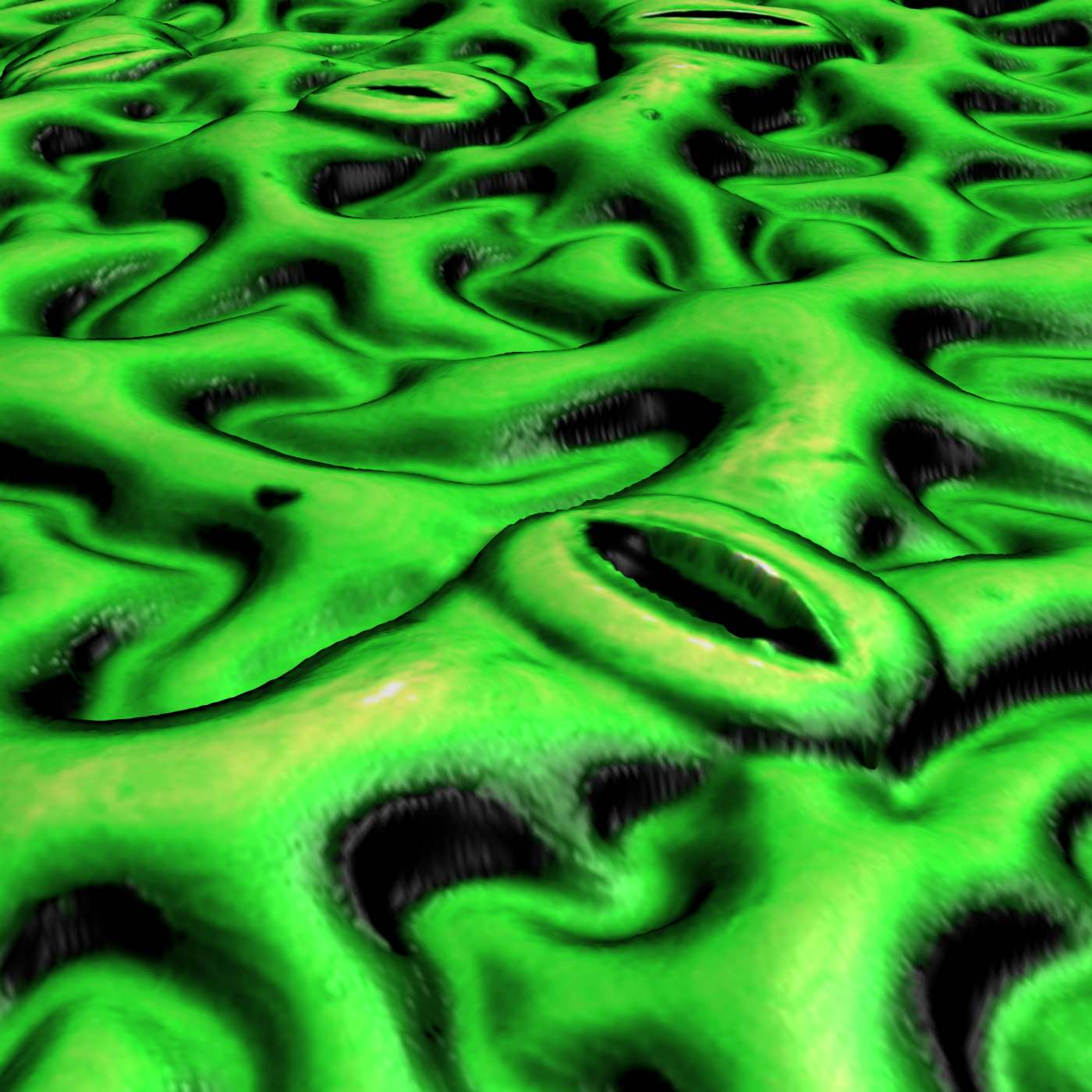 A new strategy helps crops use less water more efficiently