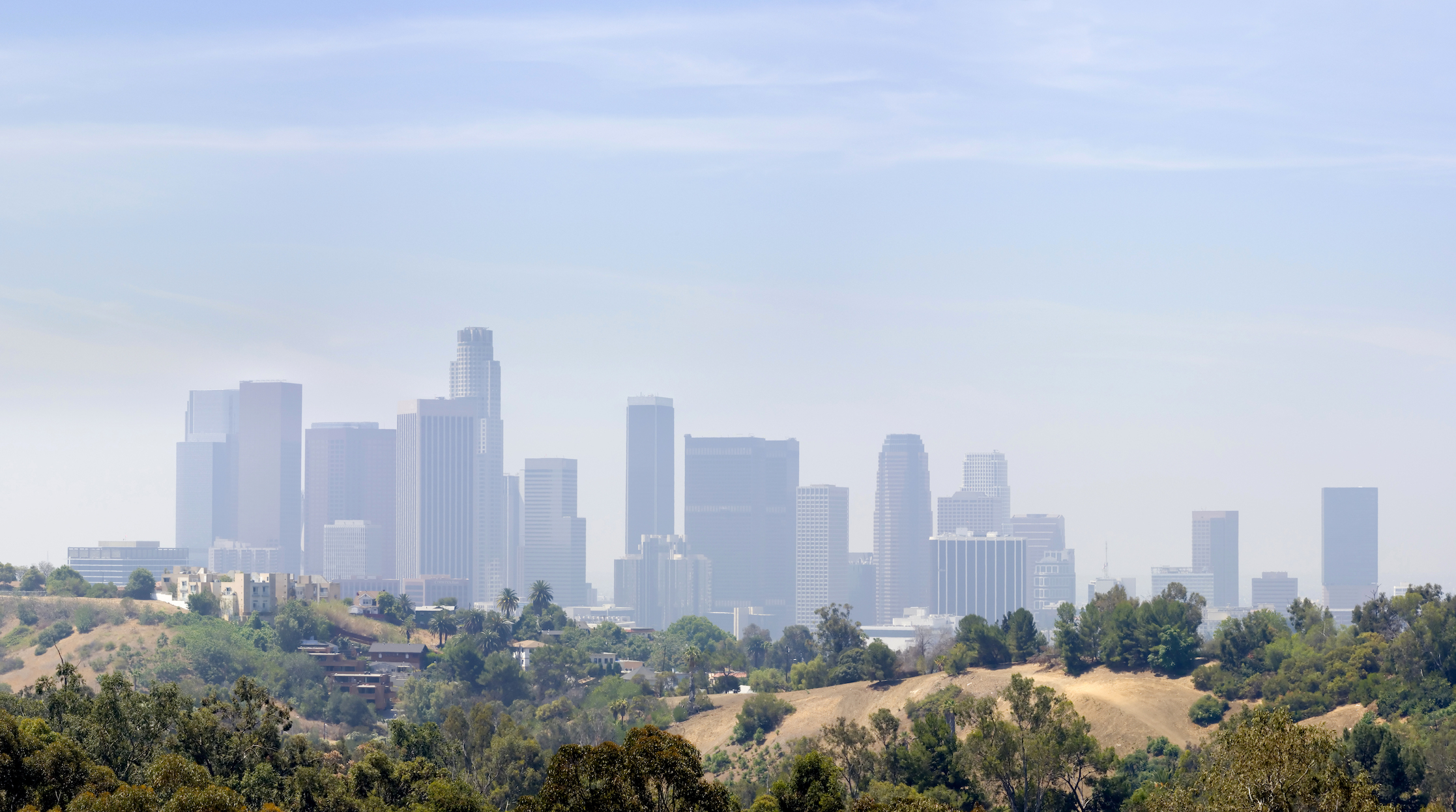 Air pollution affects genes more even more than inherited DNA