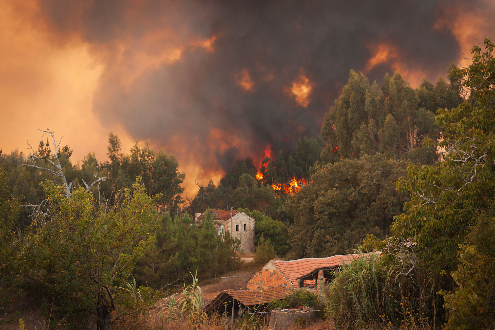 Risk of wildfires in Europe will increase due to climate change