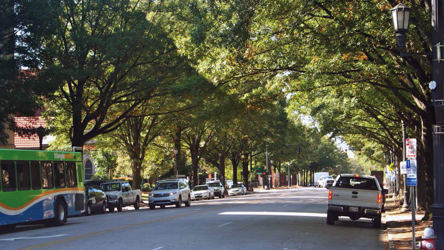 Lack of water puts city trees at risk of multiple threats