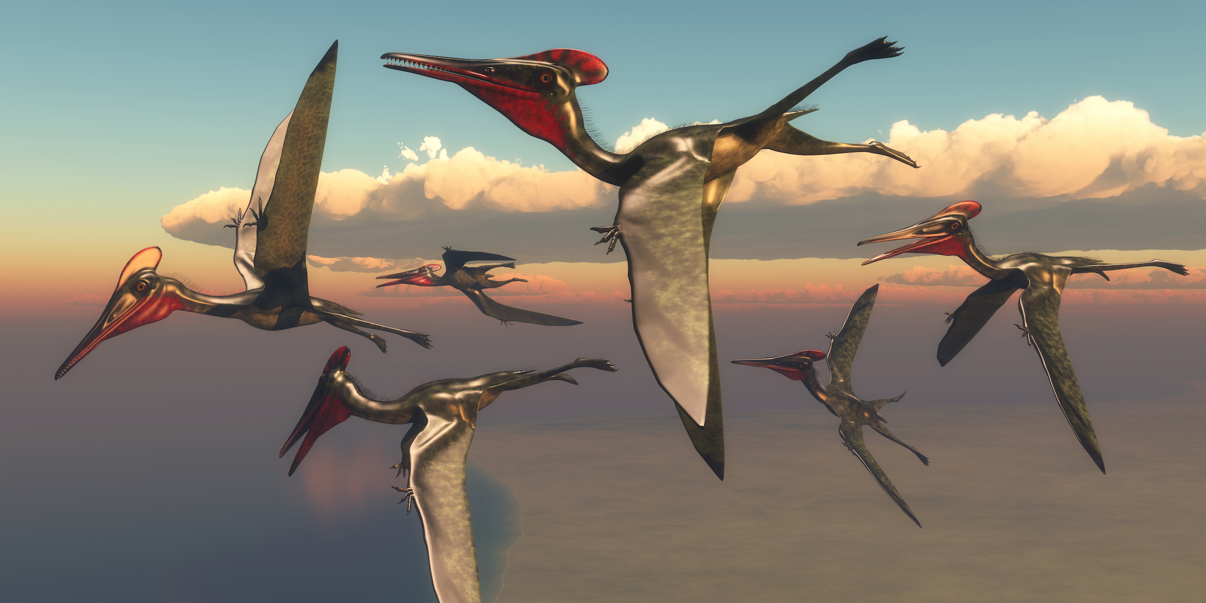 Pterosaurs were still thriving just before mass extinction event