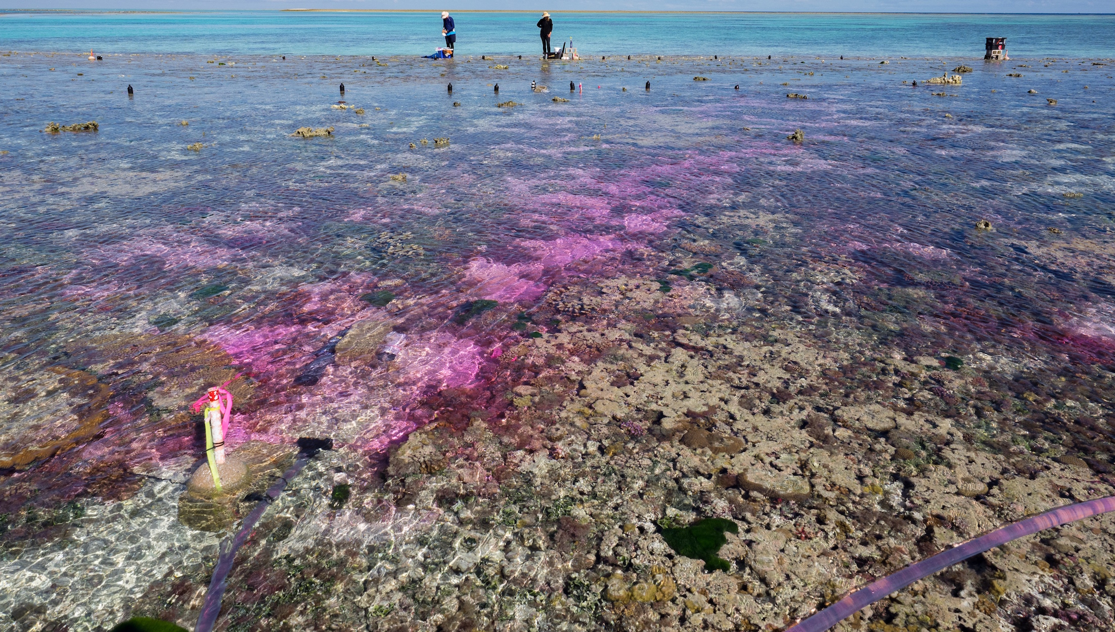 Coral reefs cannot grow properly in acidic ocean conditions
