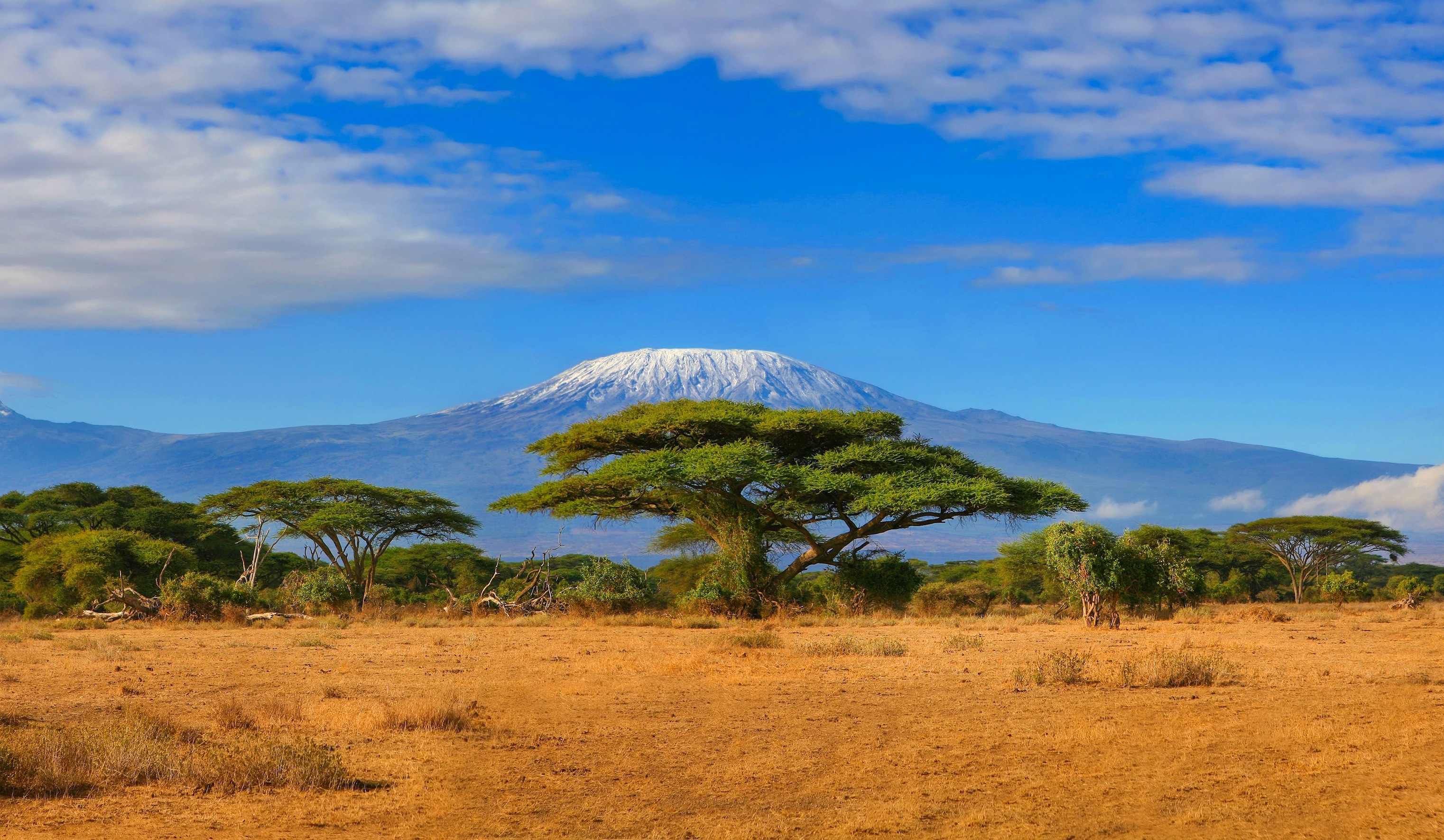 Modern humans evolved as East Africa’s environment transformed