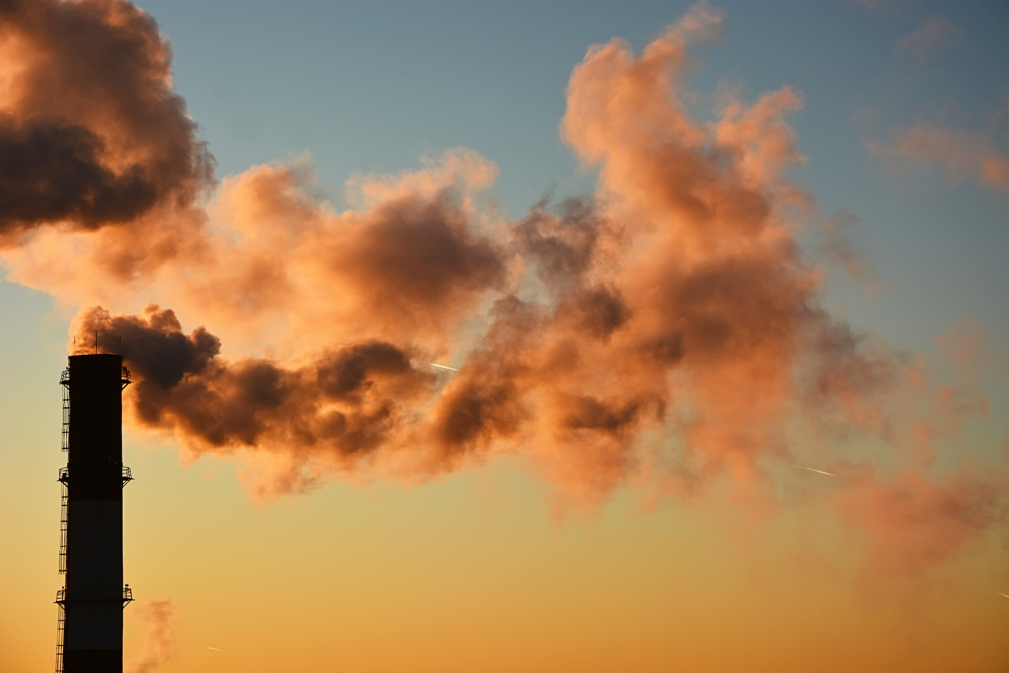 Scientists design protein mat that can soak up pollution