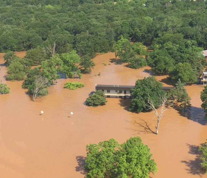 The hidden impacts of natural disasters on ecosystems