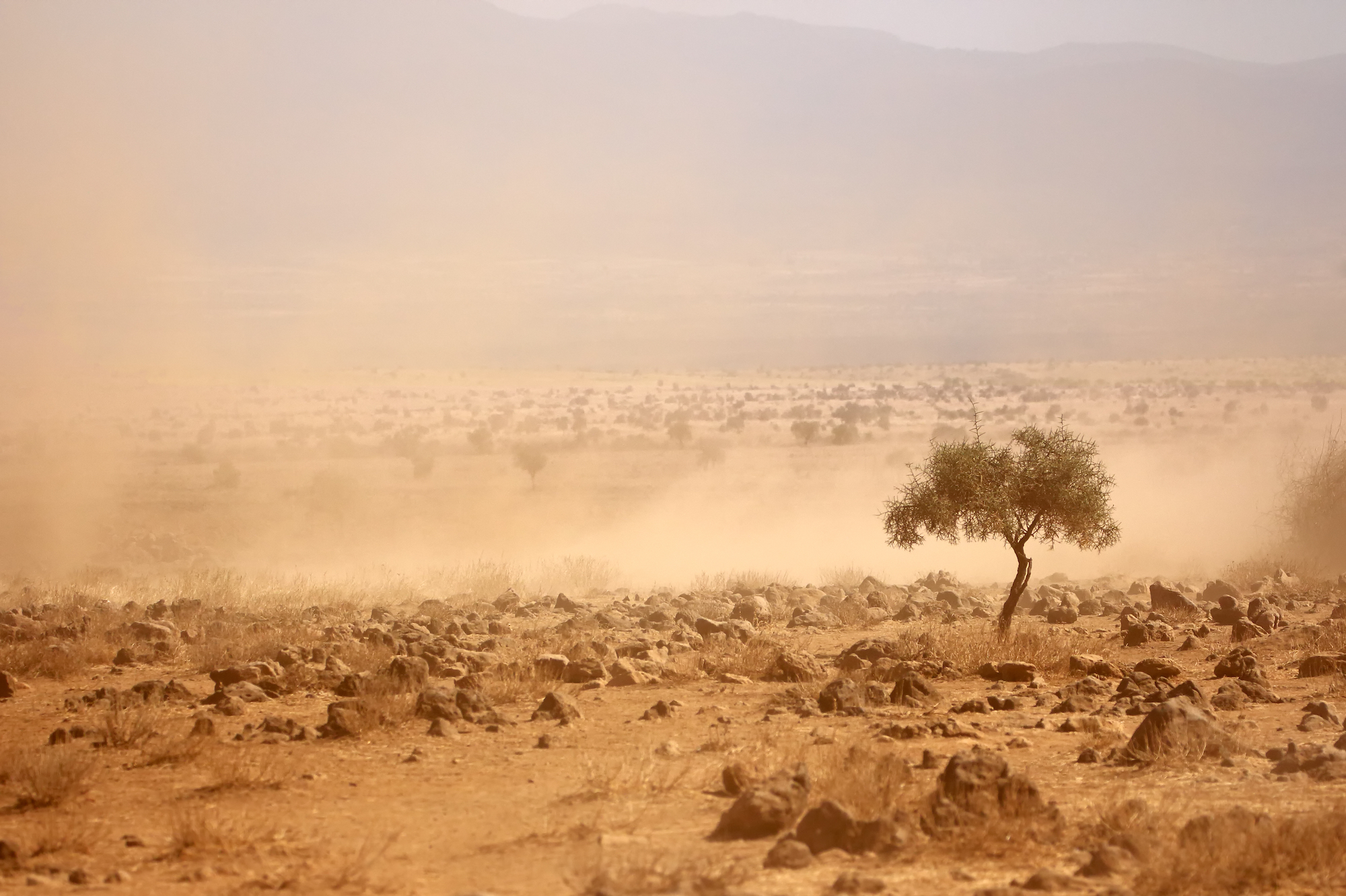 Predicting drought and famine to help save lives