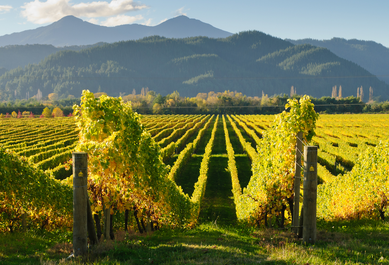 Agriculture and social hierarchies usually evolve simultaneously