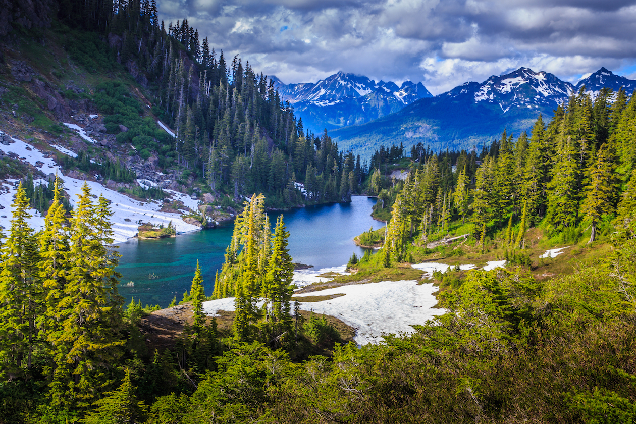 National parks will be crucial for birds in changing climate